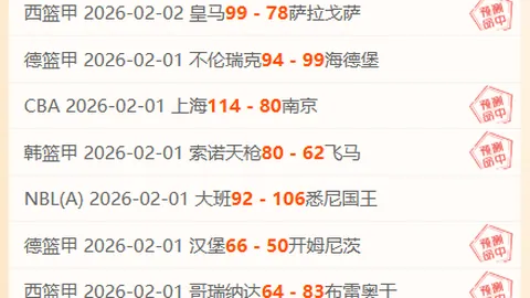 安切洛蒂：莱加内斯有权申诉判罚，我方亦然